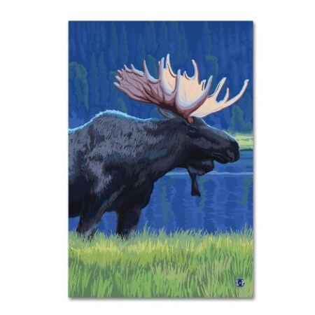 Trademark Fine Art Lantern Press 'Animal 14' Canvas Art, 12x19 ALI8814-C1219GG